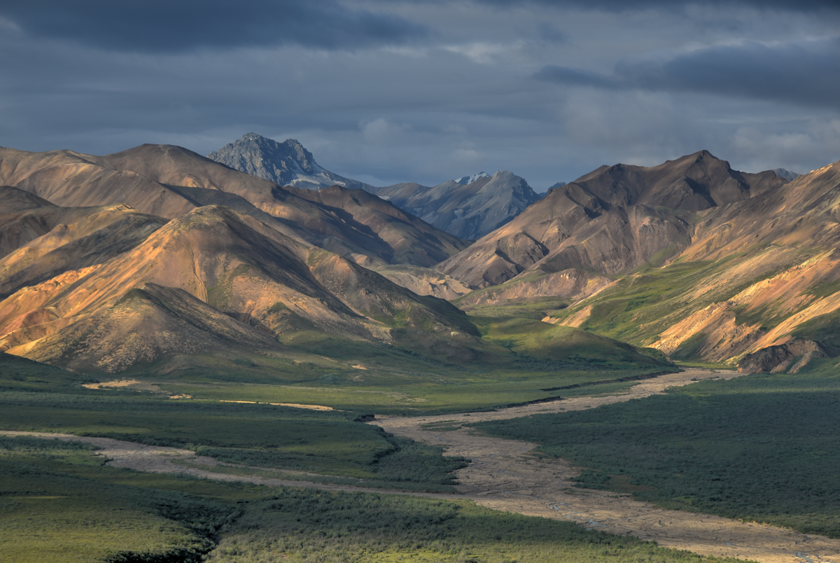 Polychrome Pass overlooking the Alaska Range