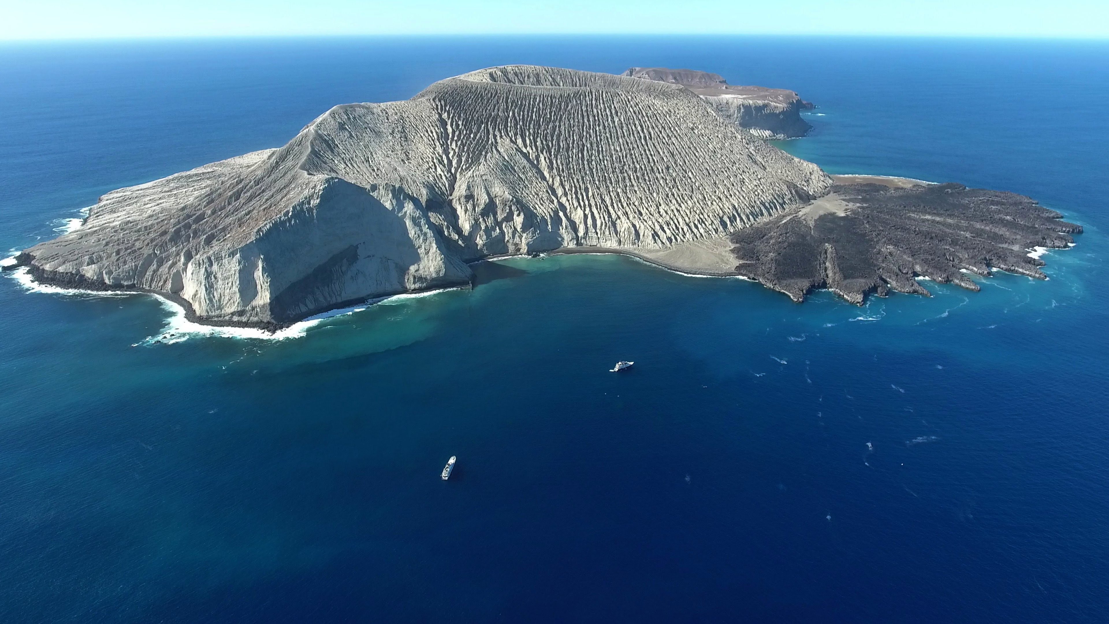 Scuba Dive Near At Socorro Islands, Mexico
