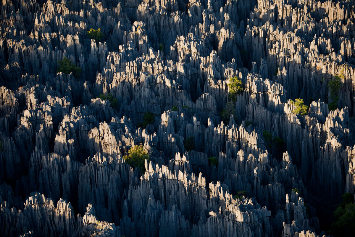Stone Forest In Kunming