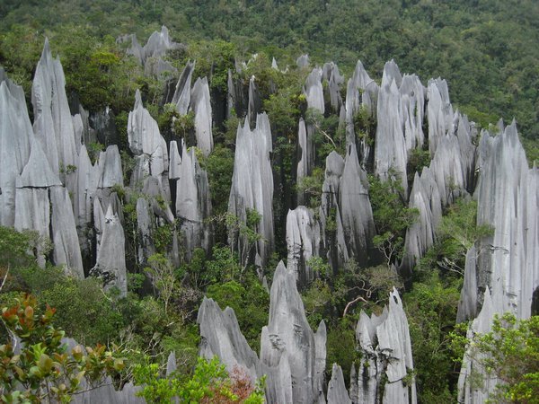 4 Gunnang Mulu National Park Pinnacles